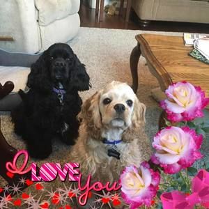 Meet your Posher, Lori